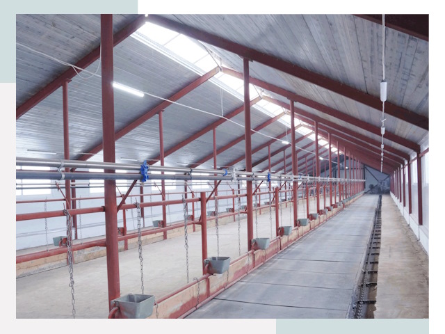 Строительство коровников в Верхней Пышме от 616 руб.