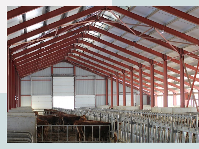 Строительство коровников в Верхней Пышме