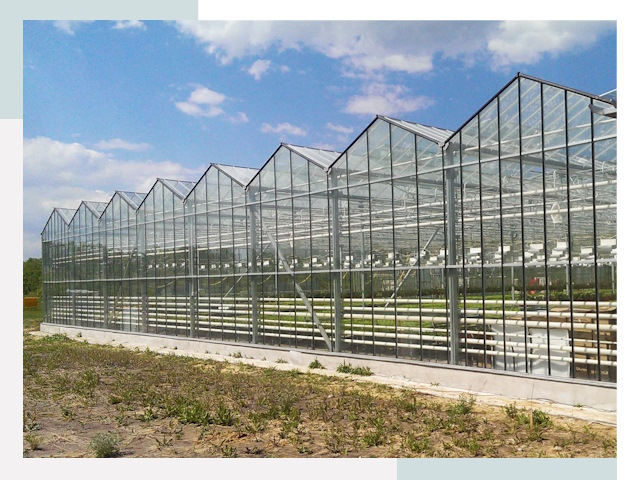 Строительство теплиц в Верхняя Пышма от 616 руб. за м²